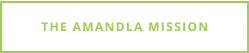 THE AMANDLA MISSION